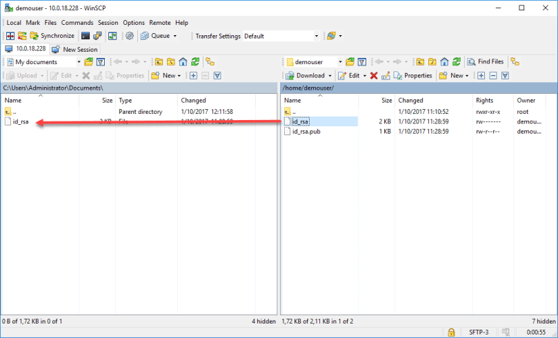 WinSCP private key file transfer